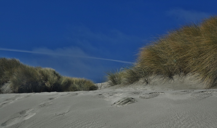 South Beach Park and the south jetty